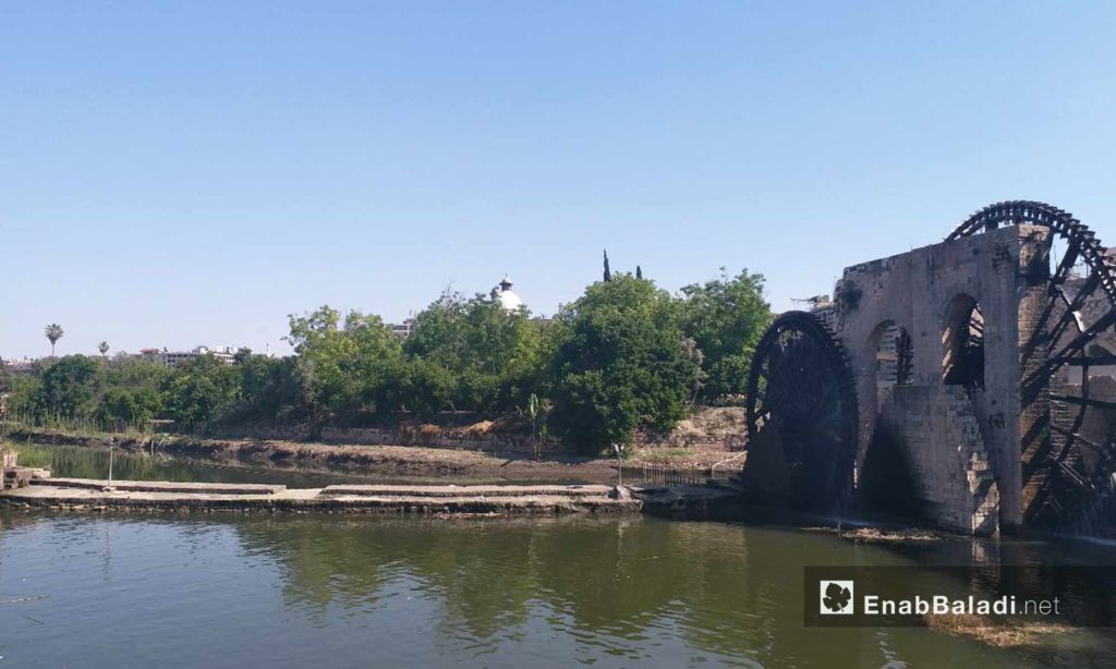 Norias of Hama on the Assi river – May 18, 2019 (Enab Baladi)