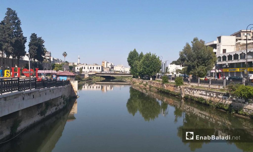 The Assi river passing through Hama city – May 18, 2019 (Enab Baladi)