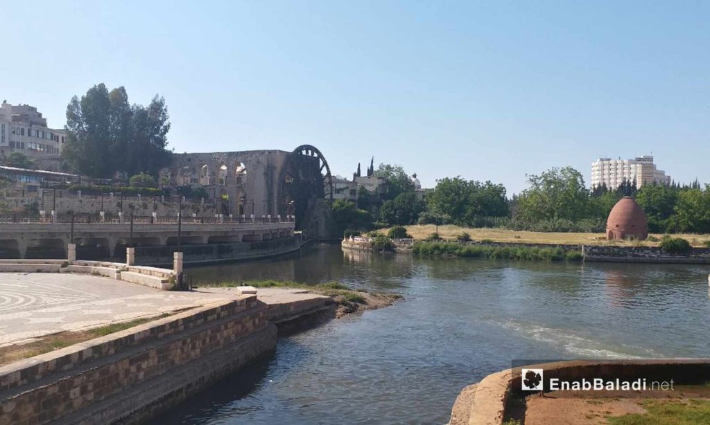 Norias of Hama on the Assi river – May 18, 2019 (Enab Baladi)