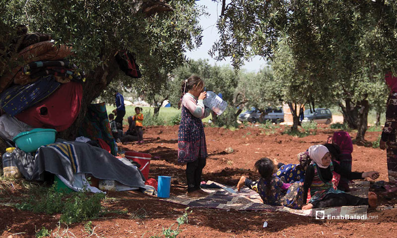 Internally displaced persons in the Atmeh area, on the Syrian-Turkish borders – May 4, 2019 (Enab Baladi)