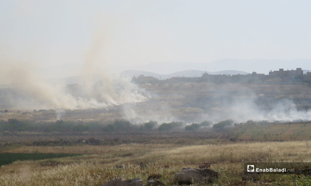 Crops caught fire in the town of Tramla, southern Idlib, after the area was targeted by rocket launchers – May 14, 2019 (Enab Baladi)