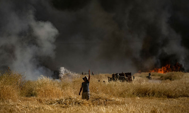 People extinguishing a fire in an agricultural field in the town of al-Qahtaniyah, in al-Hasakah countryside - June 10, 2019 (AFP)