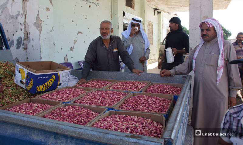 The pistachio market in the city of Morek in rural Hama - July 28, 2018 (Enab Baladi)