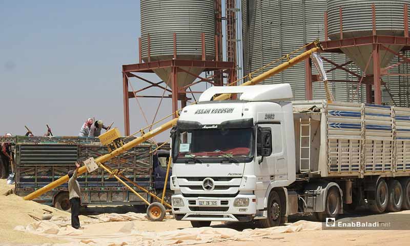 Crops and grains delivered in the city of al-Rai, rural Aleppo – August 2, 2019 (Enab Baladi)