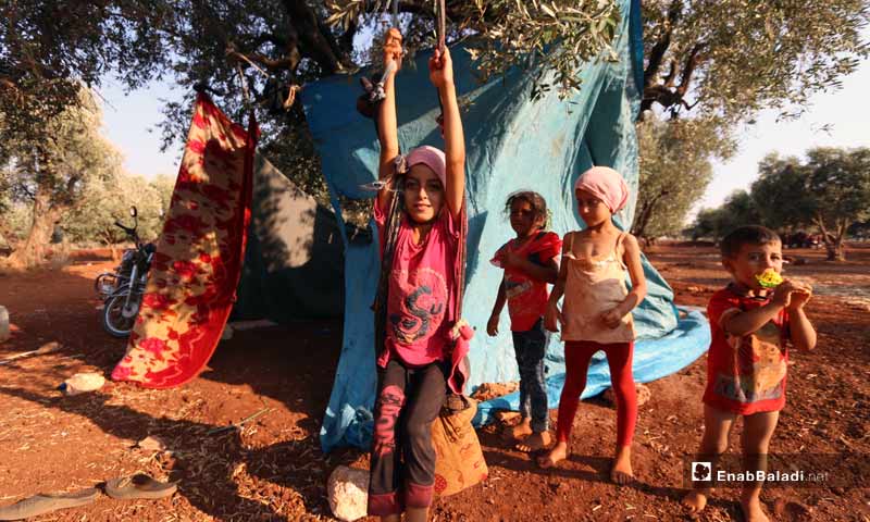  Random IDPs camp under olive trees - August 18, 2019 (Enab Baladi)