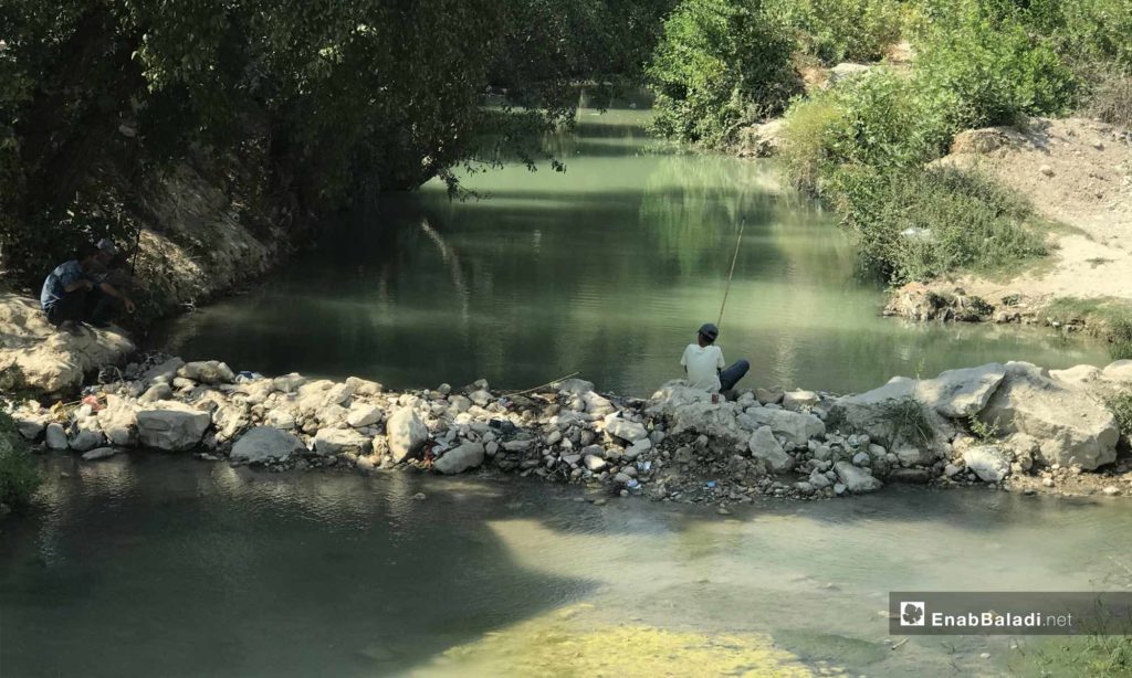 A young man fishing in the Assi River, near the city of Darkoush, western rural Idlib -September 8, 2019 (Enab Baladi)