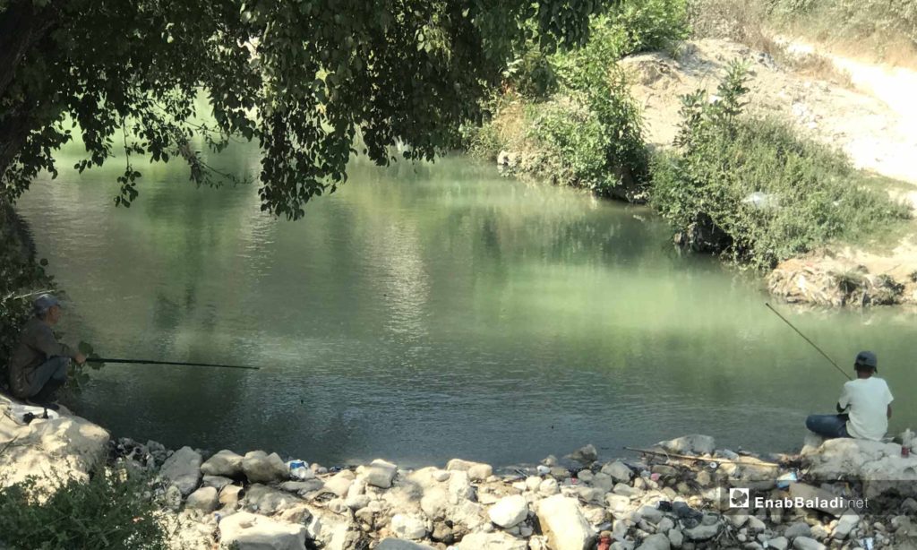 A young man fishing in the Assi River, near the city of Darkoush, western rural Idlib -September 8, 2019 (Enab Baladi)