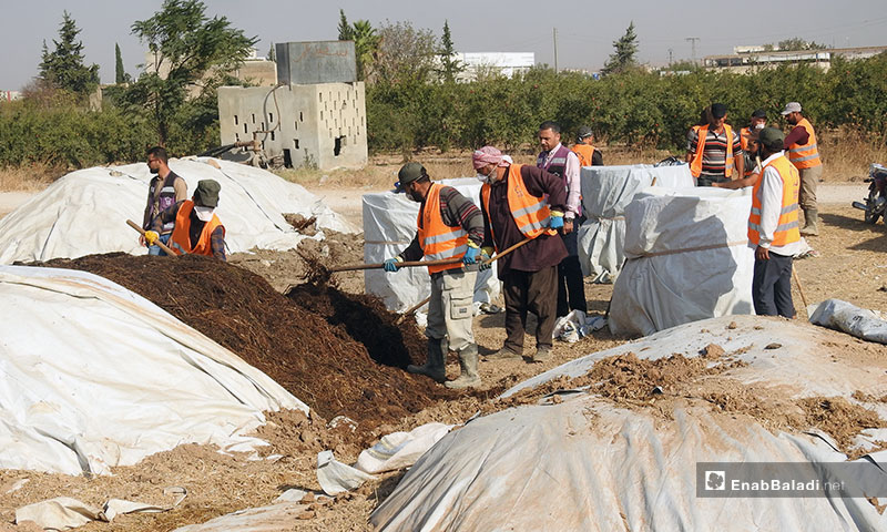 Locals working under the “Cash for Work” project in the city of al-Bab, eastern Aleppo – October 2, 2019 (Enab Baladi)
