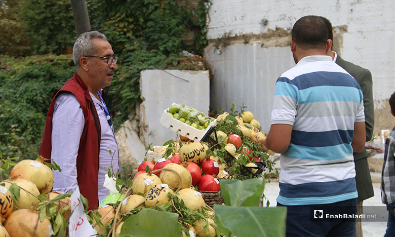 The second year of the annual Pomegranate Festival in the city of Darkush, Idlib – October 10, 2019 (Enab Baladi)
