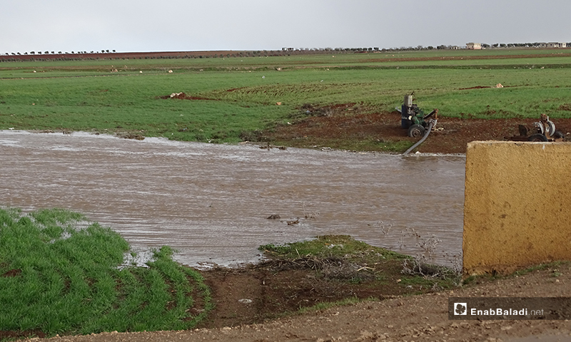  A photo shows the flood of the Queiq River  in the town of Dabiq in the northern countryside of Aleppo, for the first time this year - 8 February (Enab Baladi)
