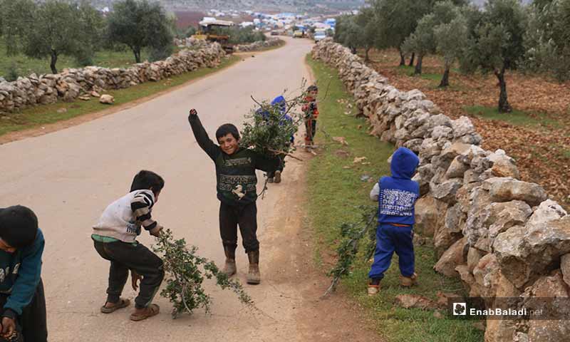 Syrian children pick up tree branches to light a fire for warmth in the cruel winter, amid lack of heating supplies in the village of Barisha in Idlib  - 19 February 2020 (Enab Baladi) 
