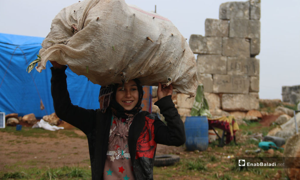 A displaced girl holds a bag of wooden sticks in an archaeological area of ​​Deir Numan in the western countryside of Aleppo - 23 December 2020 (Enab Baladi)