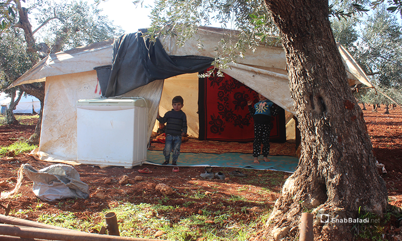 Establishing a new camp for IDPs on the outskirts of Kaftin village in Idlib province - 10 February 2020 (Enab Baladi)