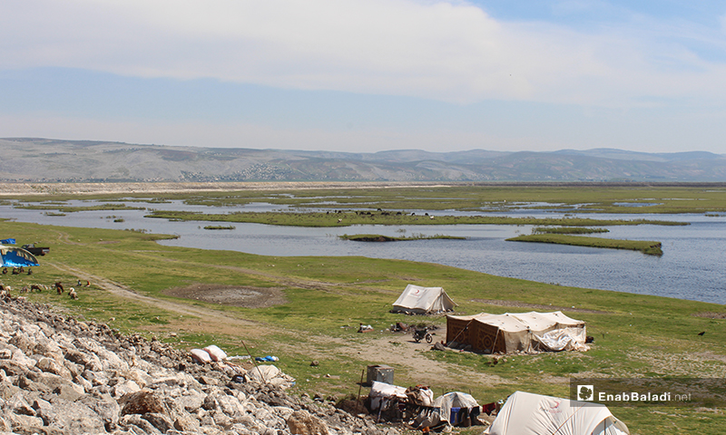 IDPs camps in al-Rouge Plain of rural Idlib – 16 April 2020 (Enab Baladi)