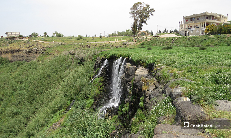 Fresh spring water provides the village with drinking water, while farmers benefit from its surplus to irrigate their lands - 23 April (Enab Baladi)