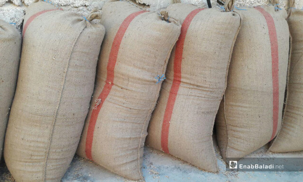 Grain bags of harvested wheat in western Daraa countryside – 05 July 2020 (Enab Baladi / Halim Mohammed)