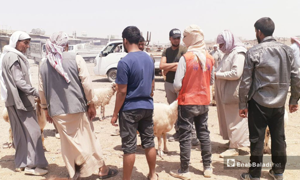 Al-Raqqa’s sheep market before Eid al-Adha – 29 July 2020 (Enab Baladi / Abdul Aziz Saleh)