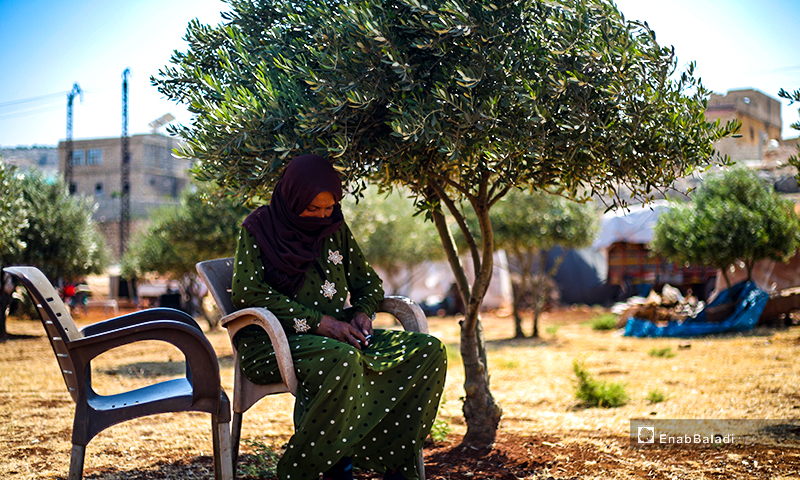 Families sitting under olive trees to escape the summer heat in the camps of internally displaced people (IDPs) in northern Idlib countryside – 07 July 2020 (Enab Baladi / Yousef Ghuraibi)
