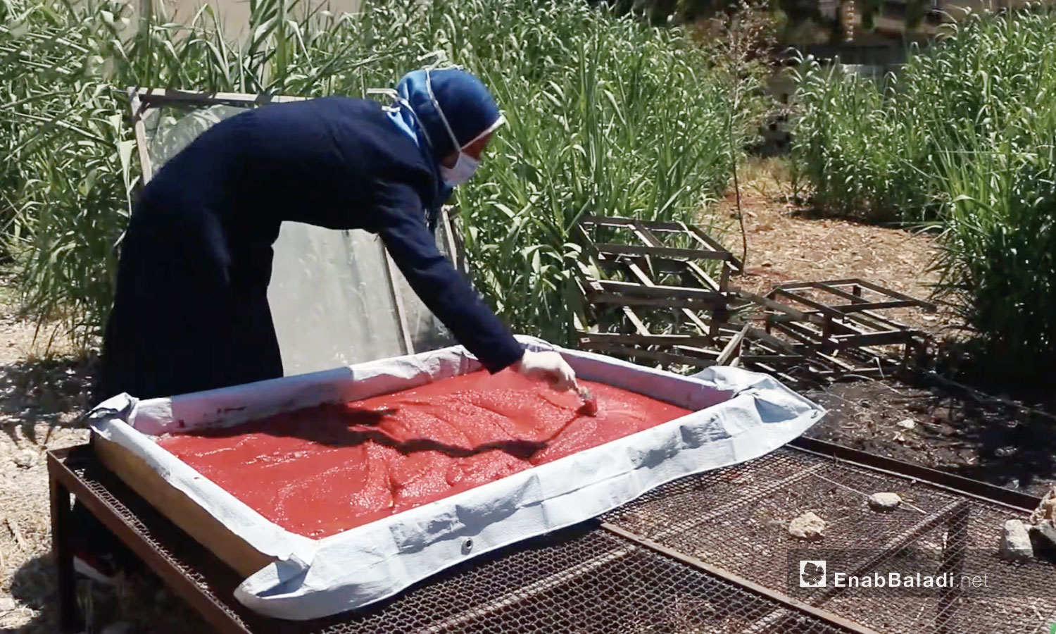 A woman makes tomato paste in the town of Maarrat Misrin in Idlib countryside - 2020 (Enab Baladi)