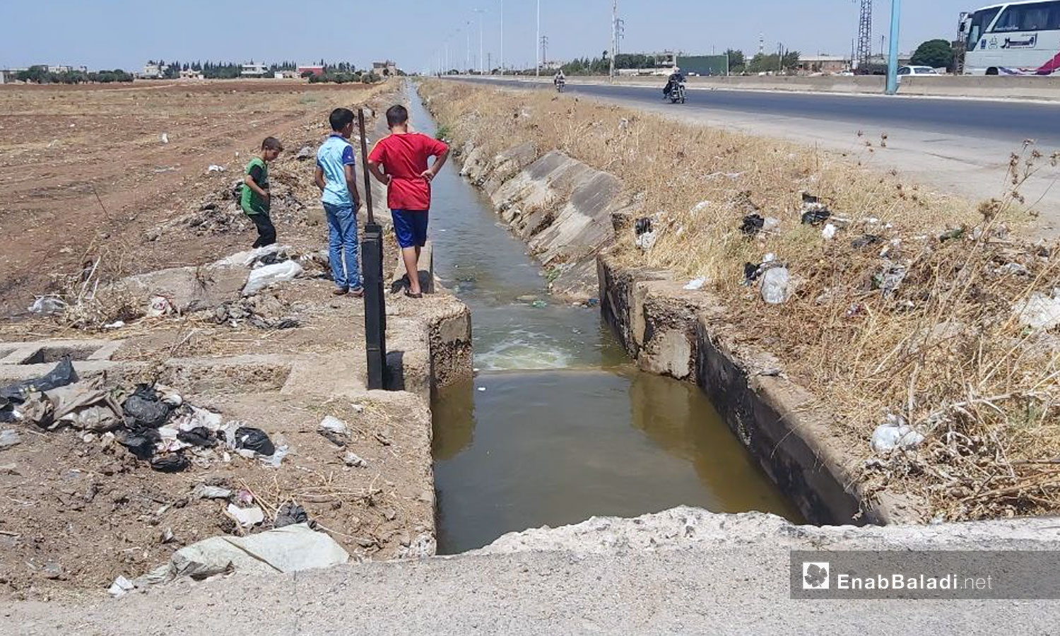 (Farms in the northern countryside of Homs, 15 August (Enab Baladi)