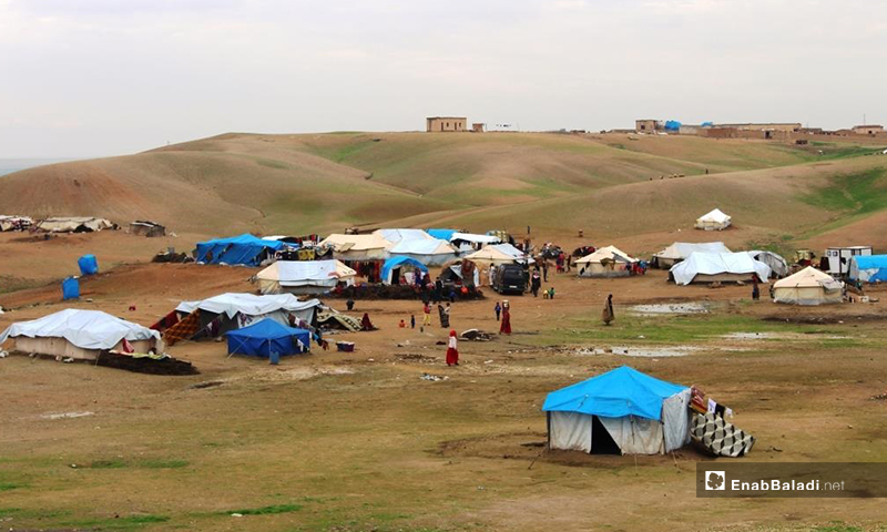 Random camp in the countryside of Raqqa - (Enab Baladi / Hussam Al-Omar)