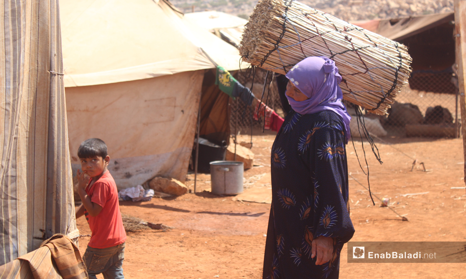 A displaced Syrian woman carrying al-Zal cane sticks in Kafr Lusin in Idlib countryside - 28 August 2020 (Enab Baladi / Iyad Abdel Jawad)