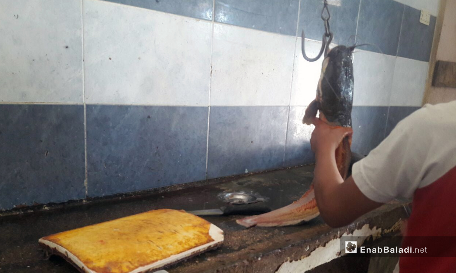 A fish seller holding a catfish in Muzayrib town in Daraa’s western countryside - 28 May 2021 (Enab Baladi - Halim Muhammad)