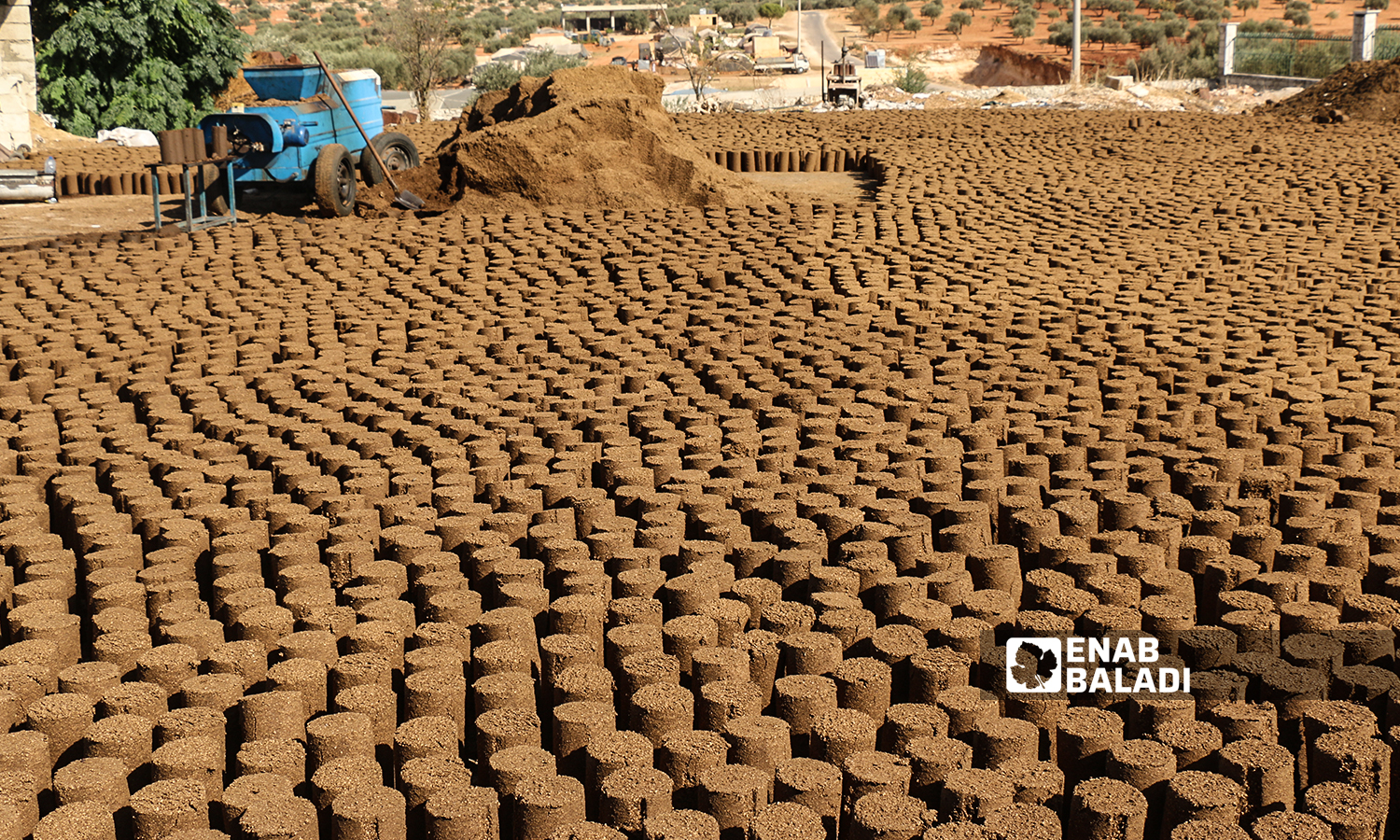 Pomace-wood pellets made from the waste of olive oil and used for heating during winter at Maarat al-Ikhwan in the northern Idlib countryside - 18 October 2021 (Enab Baladi/Iyad Abdul Jawad)
