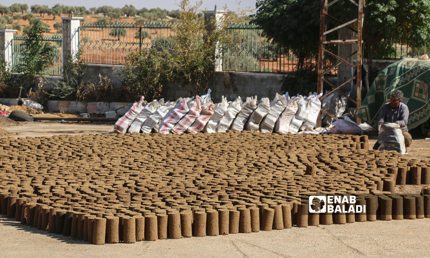 Pomace-wood pellets made from the waste of olive oil and used for heating during winter at Maarat al-Ikhwan in the northern Idlib countryside - 18 October 2021 (Enab Baladi/Iyad Abdul Jawad)
