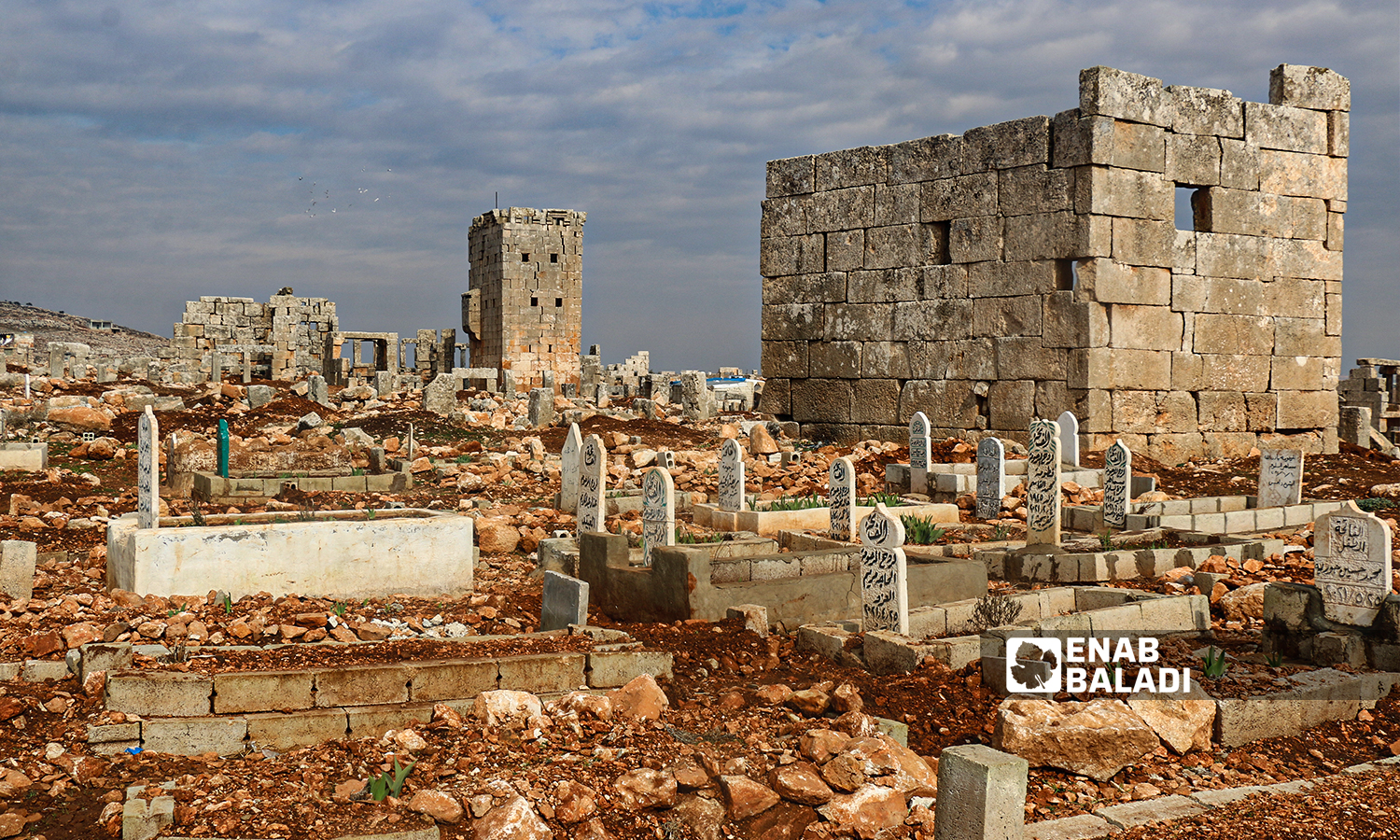 A cemetery established near an archeological site in the historical Sarjableh area in the northern countryside of Idlib governorate - 22 January 2022 (Enab Baladi / Iyad Abdul Jawad)
