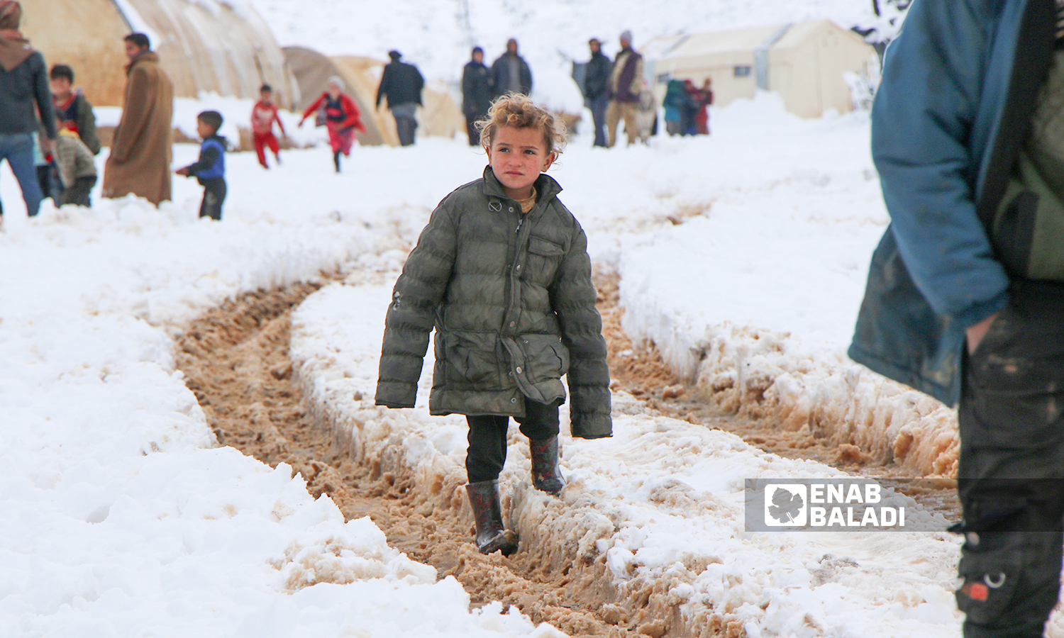 Displaced Syrians clear accumulated snow off the roof of their tents following snowstorms that hit the Sheikh Bilal camp in Rajo area of Afrin district, northern Aleppo - 20 January 2022 (Enab Baladi / Malek al-Habal)