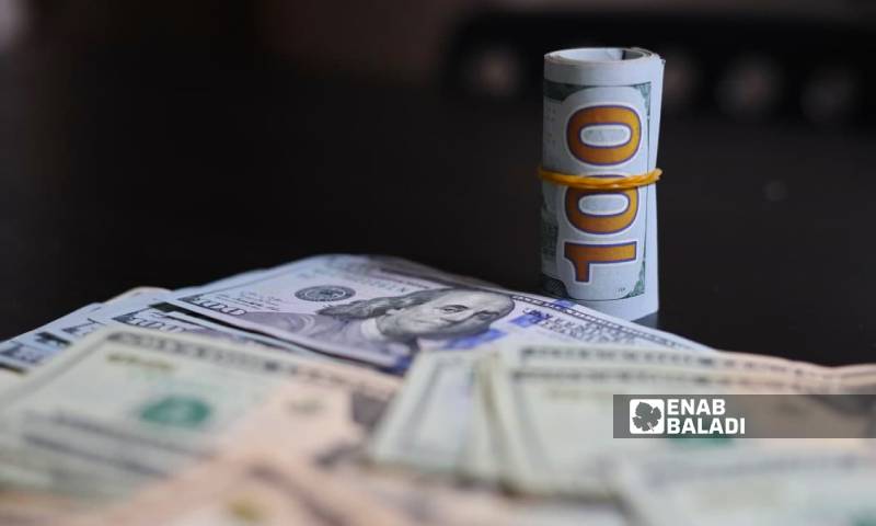 A one hundred dollar bill (Enab Baladi / Zeinab Masri)