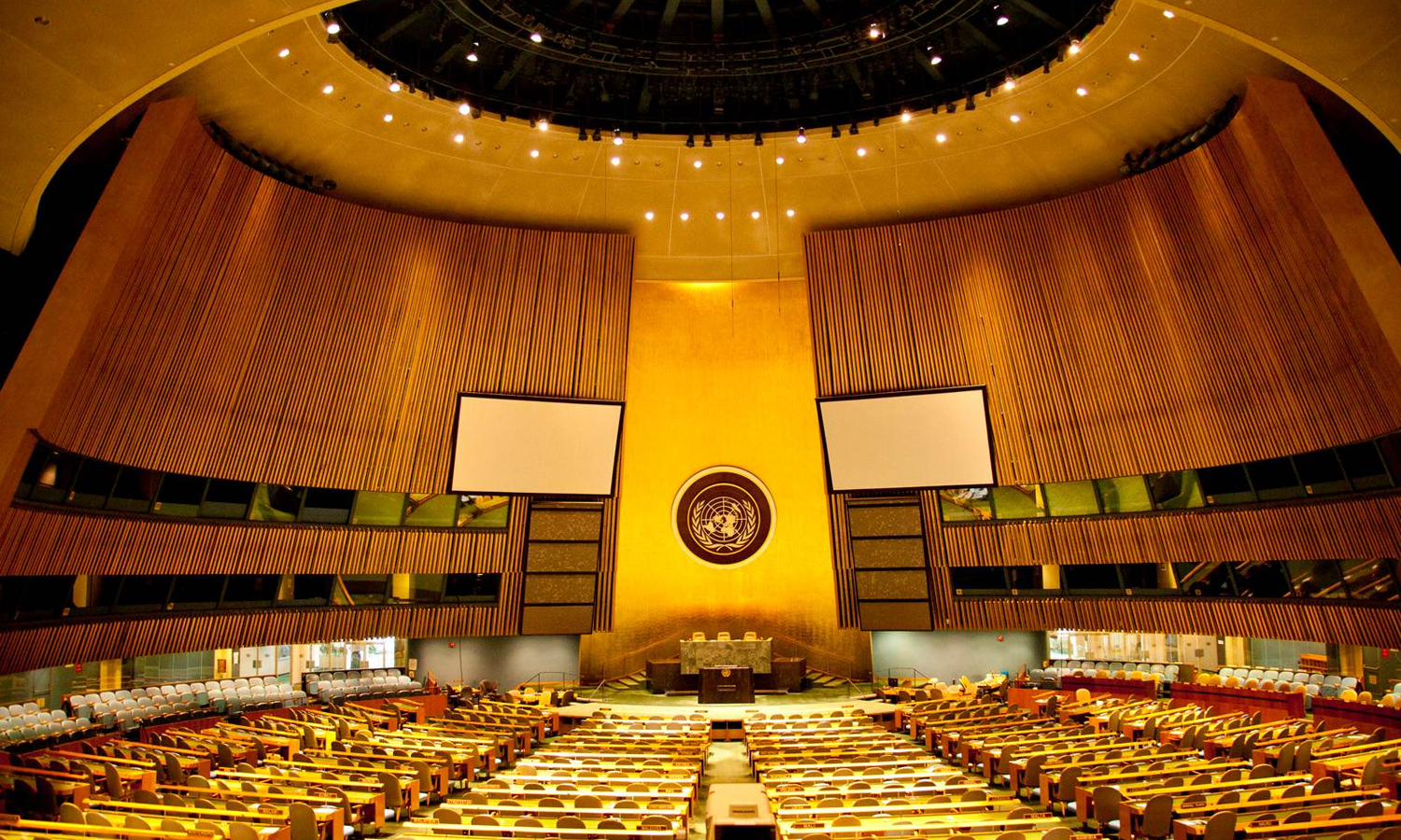 United Nations General Assembly (UN website)