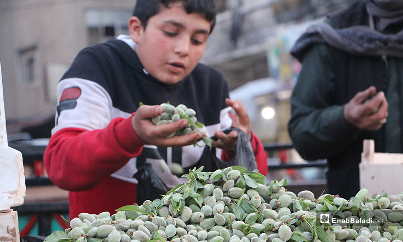 A Syrian boy selling green almonds on his cart in the main market of Idlib city - 7 April 2020 (Enab Baladi)