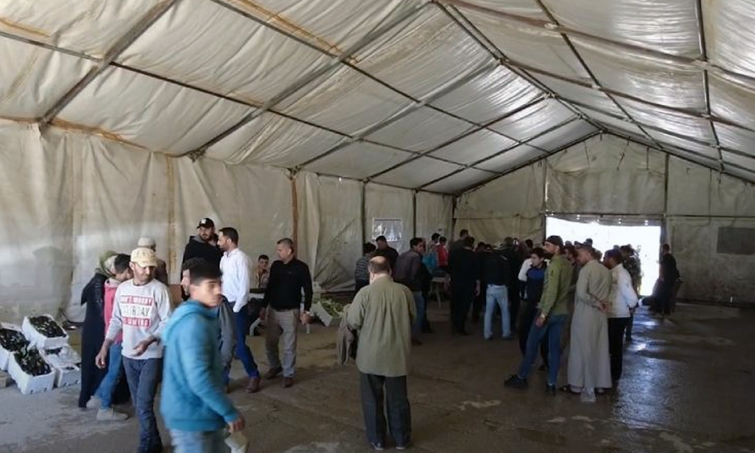 Azaz local council opens a popular vegetable market in the city (Azaz Media Office)