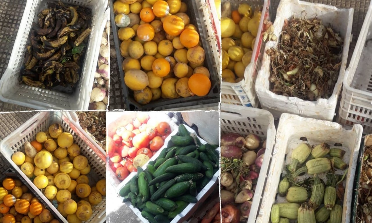 Rotten vegetables and fruits in the Syrian Trade halls - 10 April 2022 (Enab Baladi)