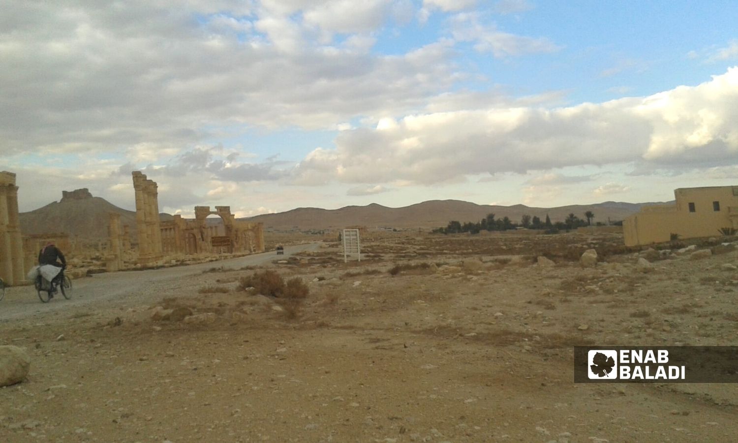 The Arch of Triumph in the city of Palmyra in the eastern countryside of Homs - 28 December 2014 (Enab Baladi)