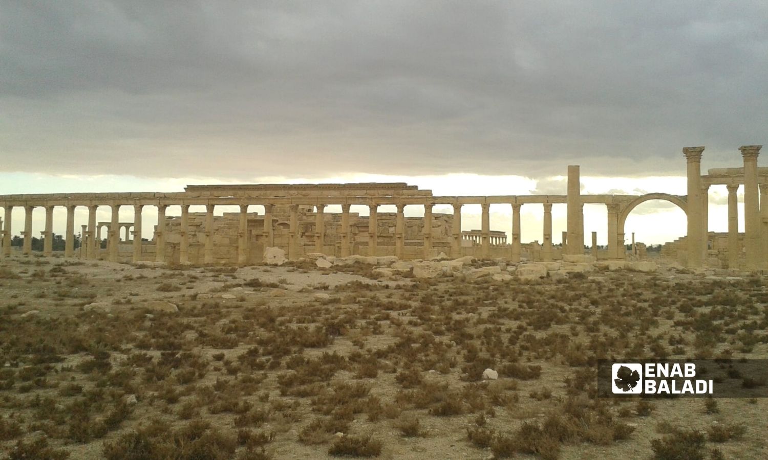 The ancient city of Palmyra in the eastern countryside of Homs - 28 December 2014 (Enab Baladi)