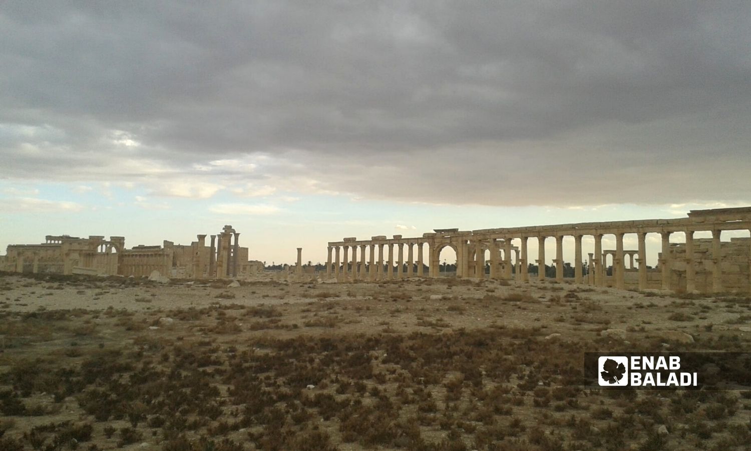 The ancient city of Palmyra in the eastern countryside of Homs - 28 December 2014 (Enab Baladi)