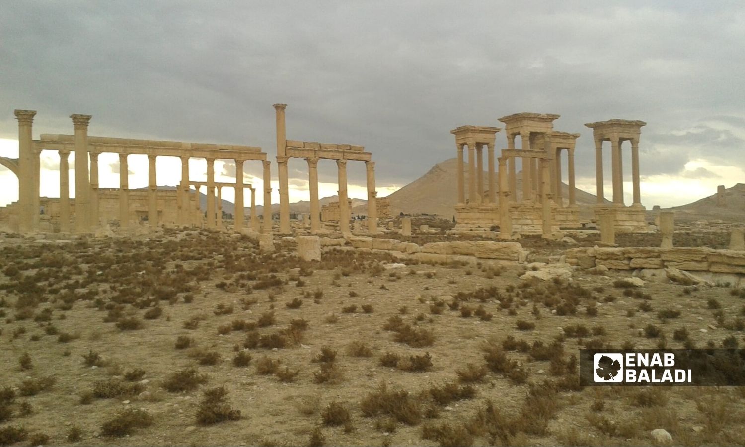 The Four Gallows in Palmyra city in the eastern countryside of Homs - 28 December 2014 (Enab Baladi)
