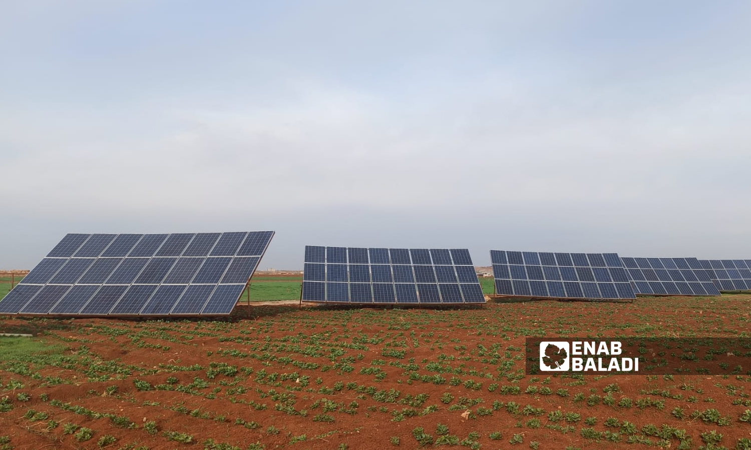 Solar panels in a farmland in the Qabasin town in the eastern countryside of Aleppo - 9 June 2022 (Enab Baladi / Siraj Mohammad)