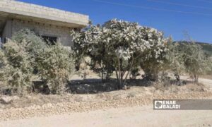 Darkush-Azmarin road in the western countryside of Idlib city - 10 August 2022 (Enab Baladi)