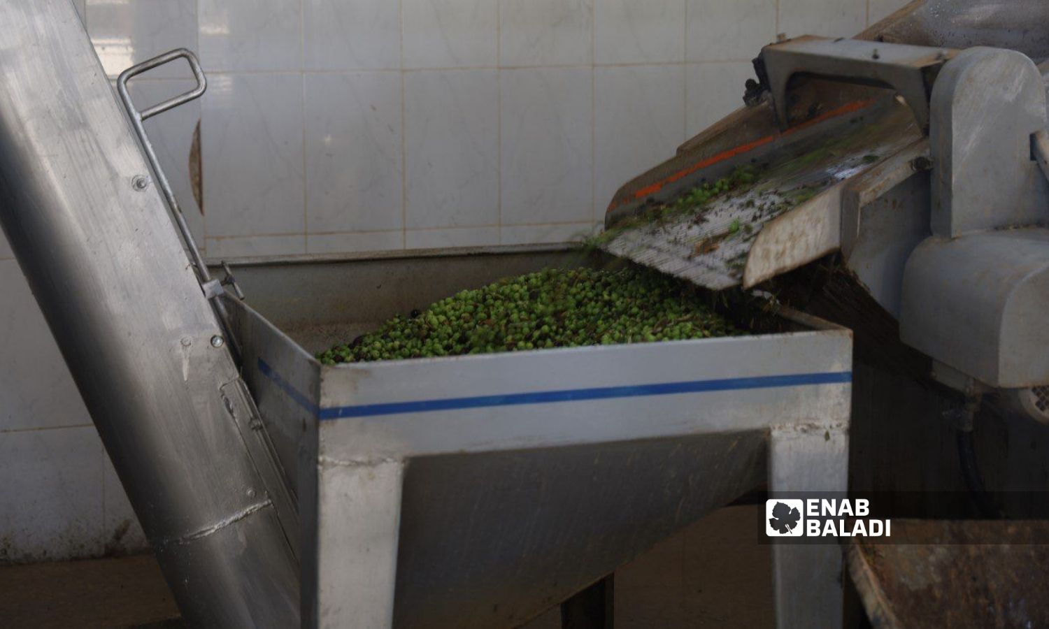 Olive pressing in the city of Afrin, north of Aleppo - 18 October 2022 (Enab Baladi / Amir Kharboutli)