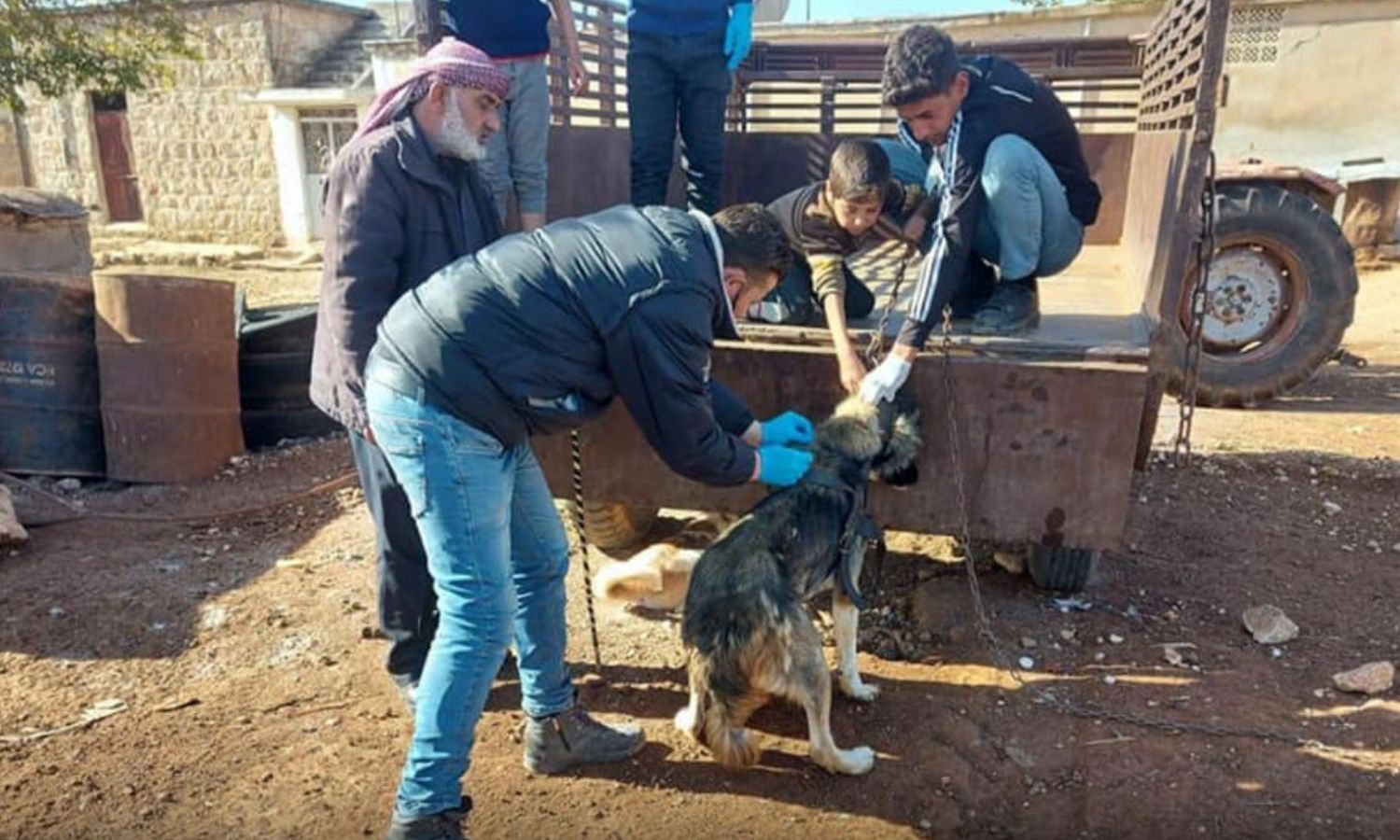 People next to an employee of the Directorate of Agriculture and Livestock in the city of Azaz in the northern countryside of Aleppo, giving a dog a vaccine against the rabies virus - 23 November 2022 (Azaz Local Council / Facebook)
