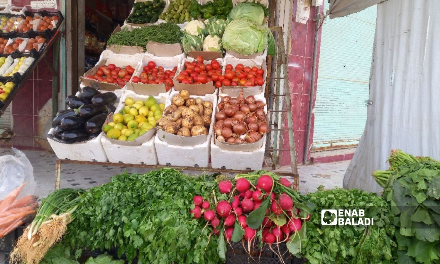 A vegetable and fruit shop in Tafas city in southern Daraa governorate - 21 November 2022 (Enab Baladi/Halim Muhammad)