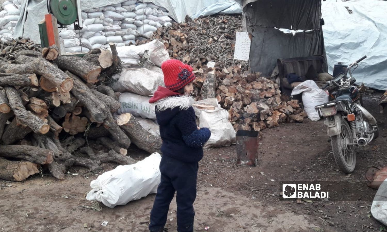 A girl collects firewood for heating in one of the IDP camps in northern Idlib region- 9 December 2022 (Enab Baladi/Anas al-Khouli)