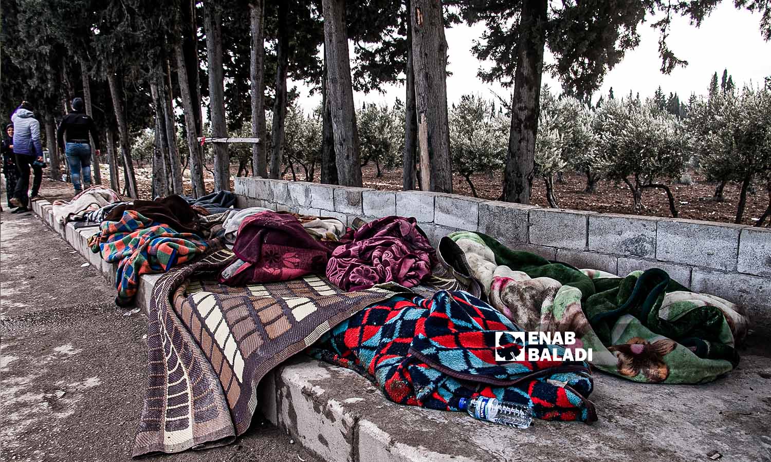 The bodies of the quake victims in the northern Jindires region- February 7, 2023 (Enab Baladi/Dayan Junpaz)