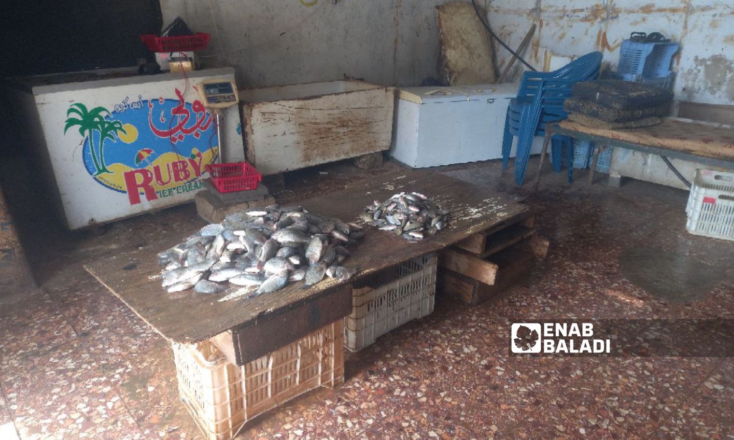 Fish shop in Muzayrib, south of Daraa governorate - January 2023 (Enab Baladi/Halim Muhammad)