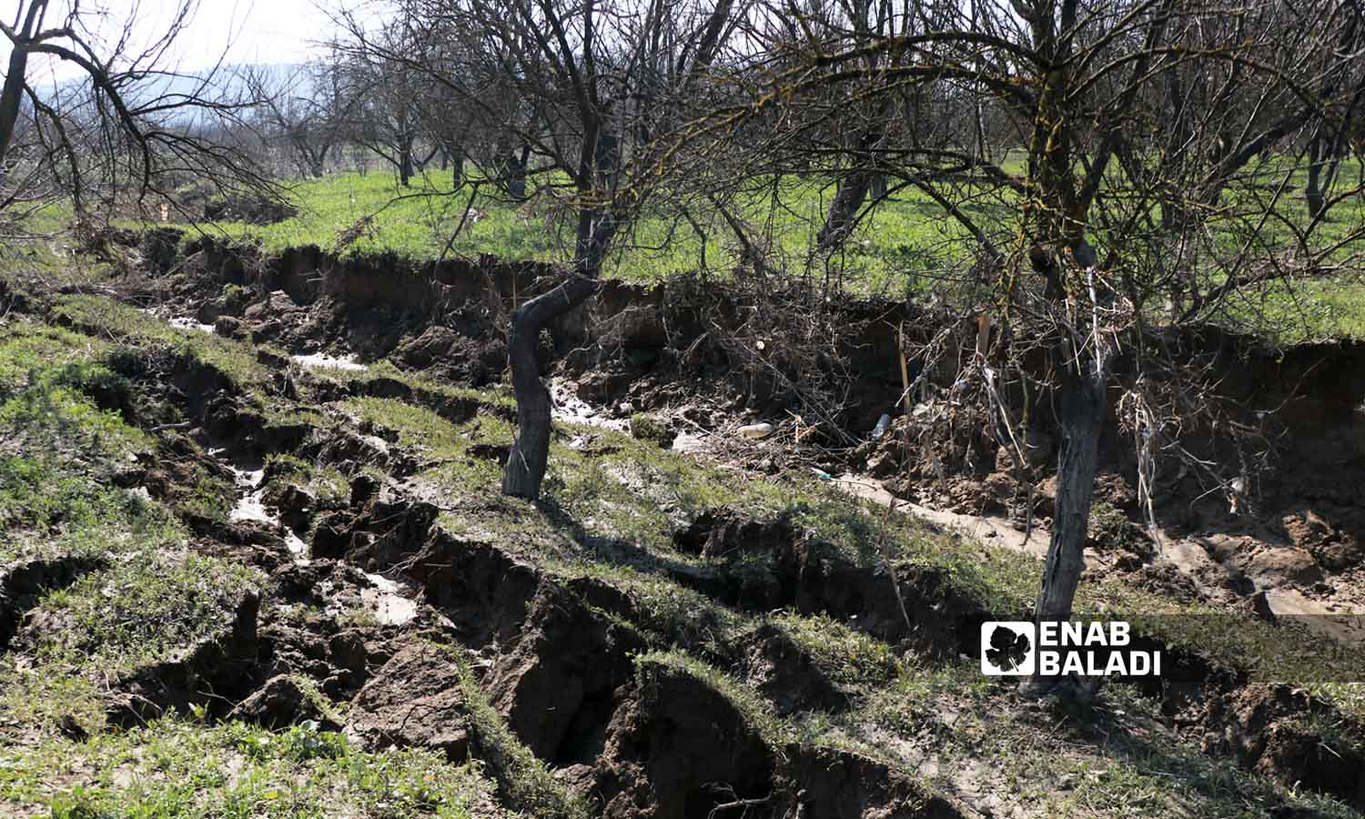 Landslides and faults in agricultural lands towards the Orontes (Asi) River in Darkush, in the western countryside of Idlib, as a result of the earthquake that struck the region - February 17, 2023 (Enab Baladi - Mohammad Nasan Dabel)