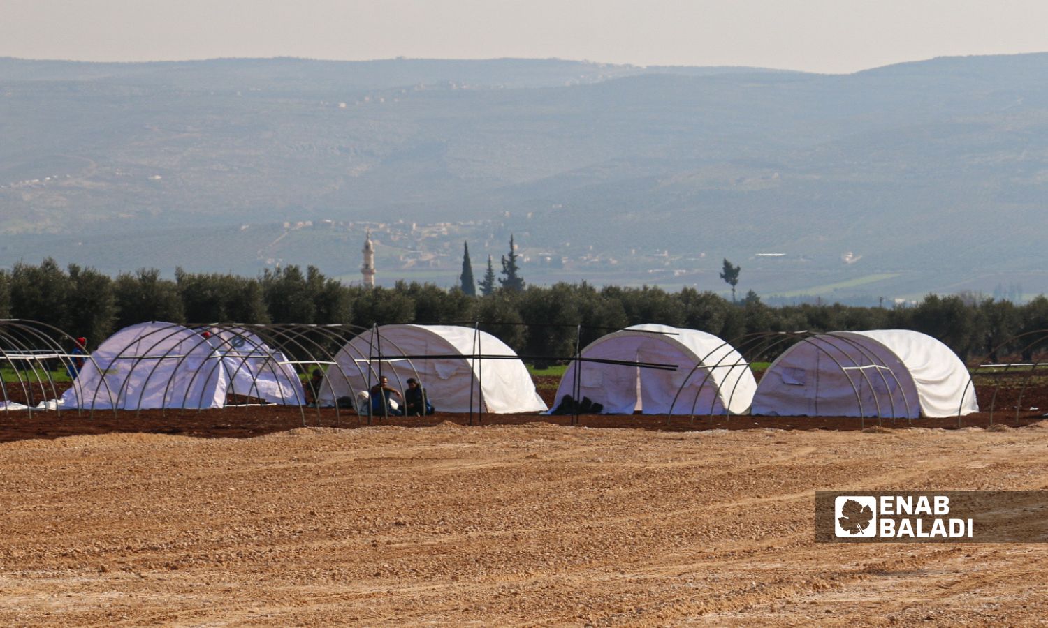 Tents for people in the town of Jindires in the northern countryside of Aleppo, affected by the Feb.6 earthquake that struck southern Turkey and separate areas in Syria - February 13, 2023 (Enab Baladi/Dayan Junpaz)